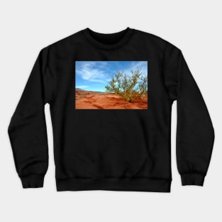 Argentine - Quebrada de las Conchas Crewneck Sweatshirt